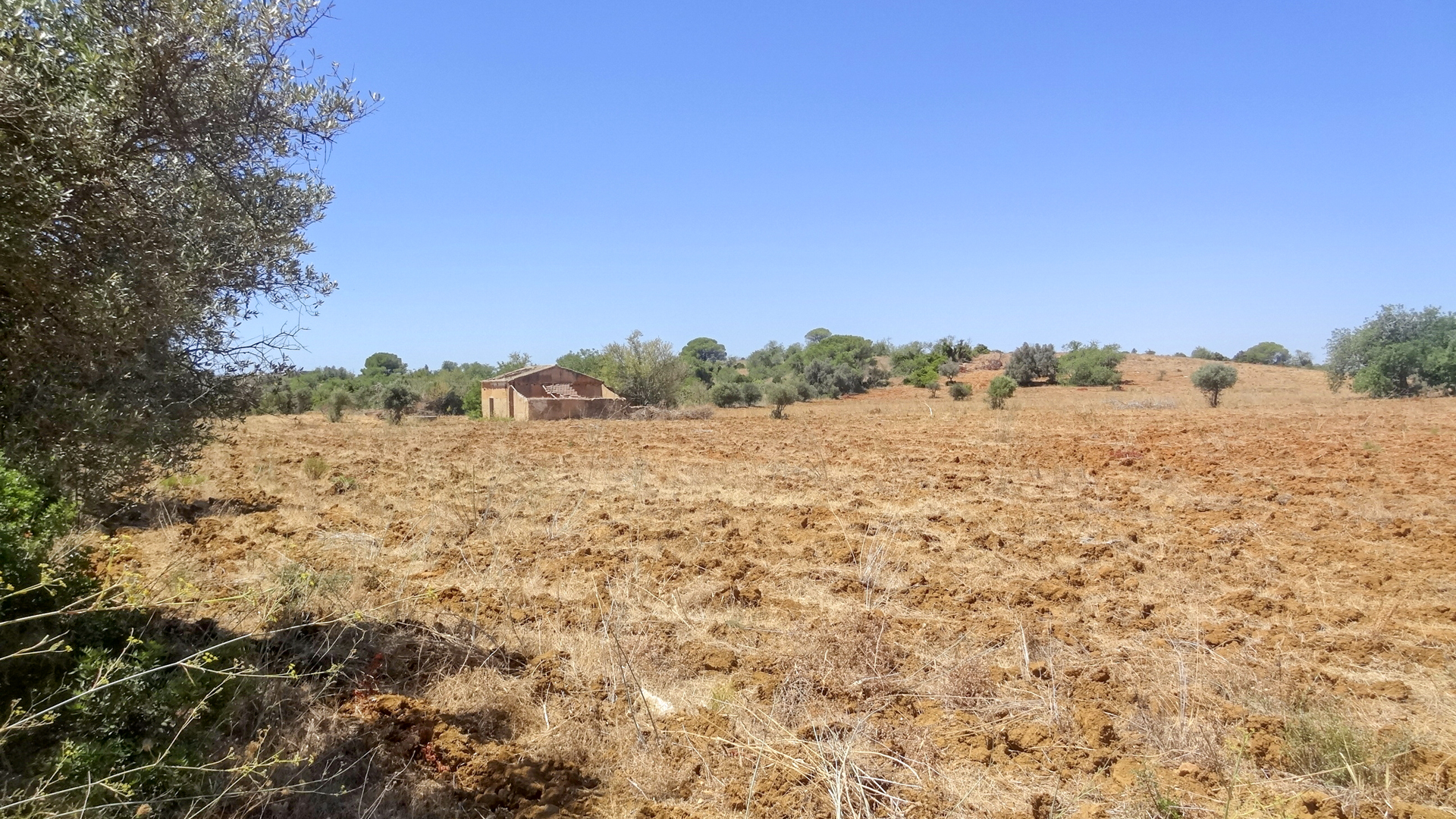 Large Plot of 36.705m² with Ruin and Sea Views near Guia | S5197 Big plot with sea views near Guia. The plot has 40.000m² and a ruin of 300m² living space. There is a natural water well which could be converted into a borehole. The plot would be perfect for horses.