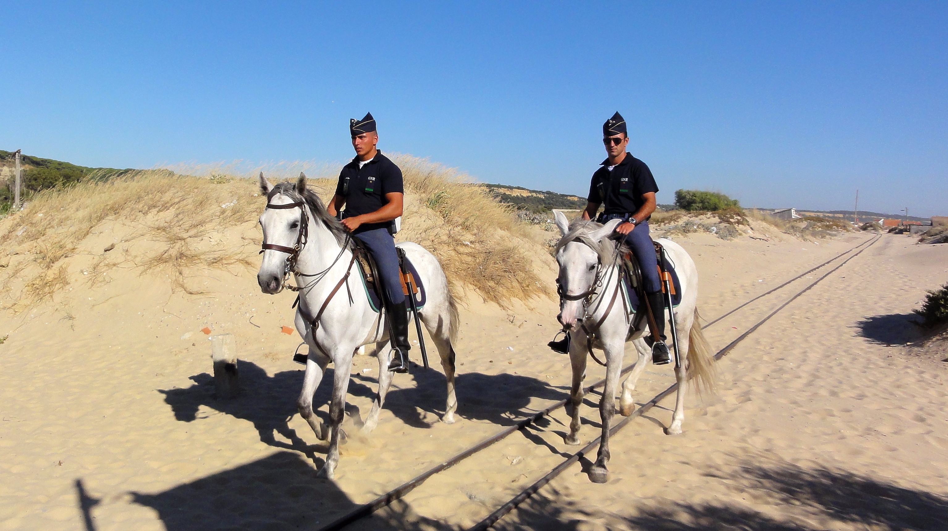 Chevaux lusitanos, Cavalrie GNR (Portugal)