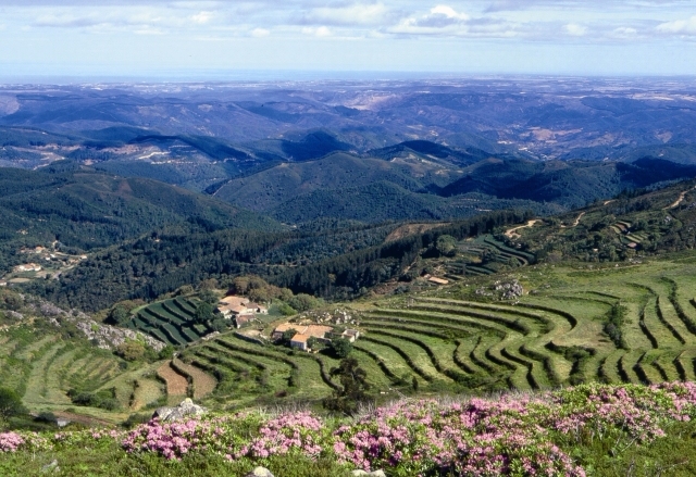 Beautiful properties nestled in the Serra de Monchique