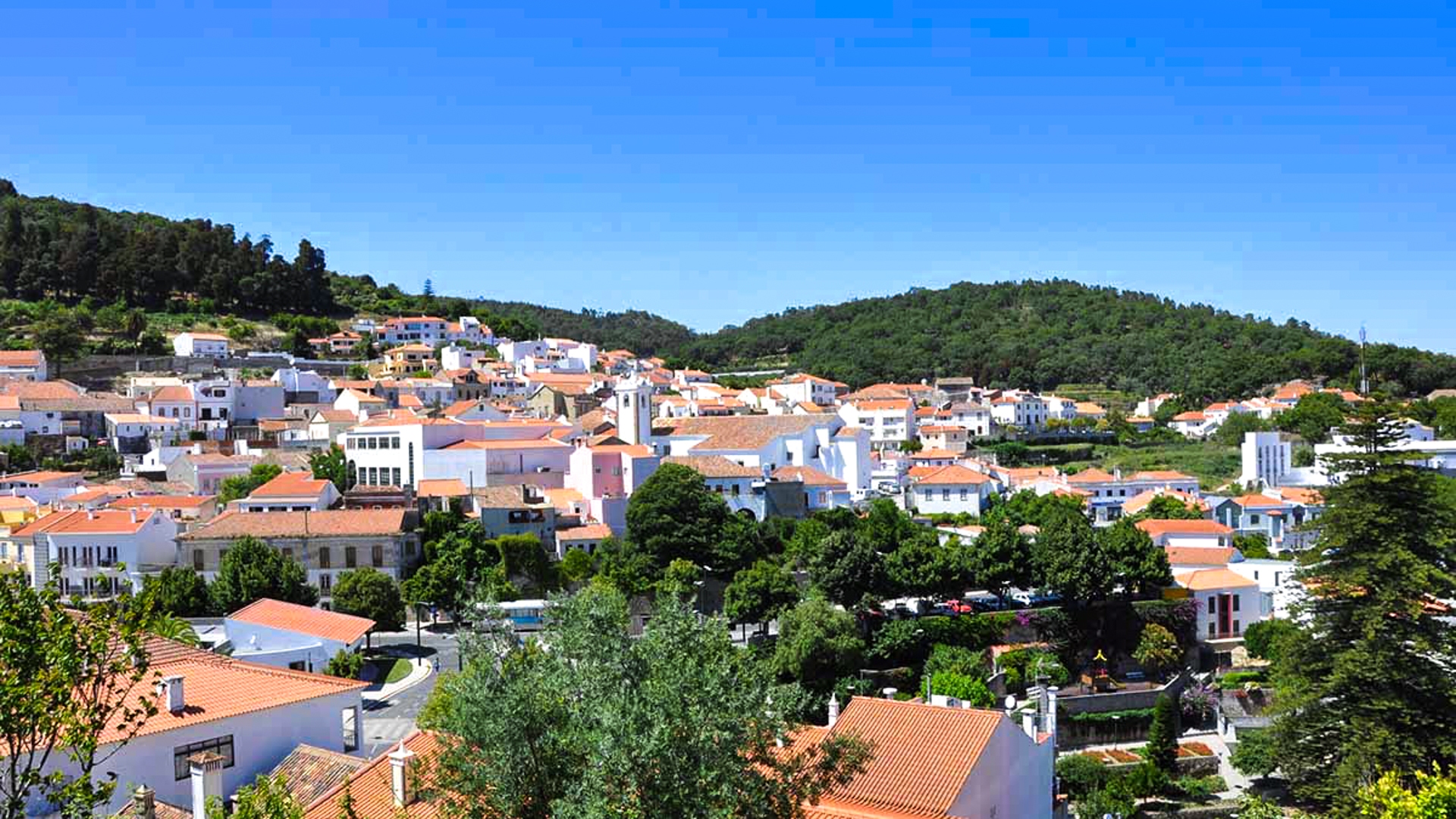 La Serra de Monchique - Un paradis pour les amoureux de la nature en Algarve