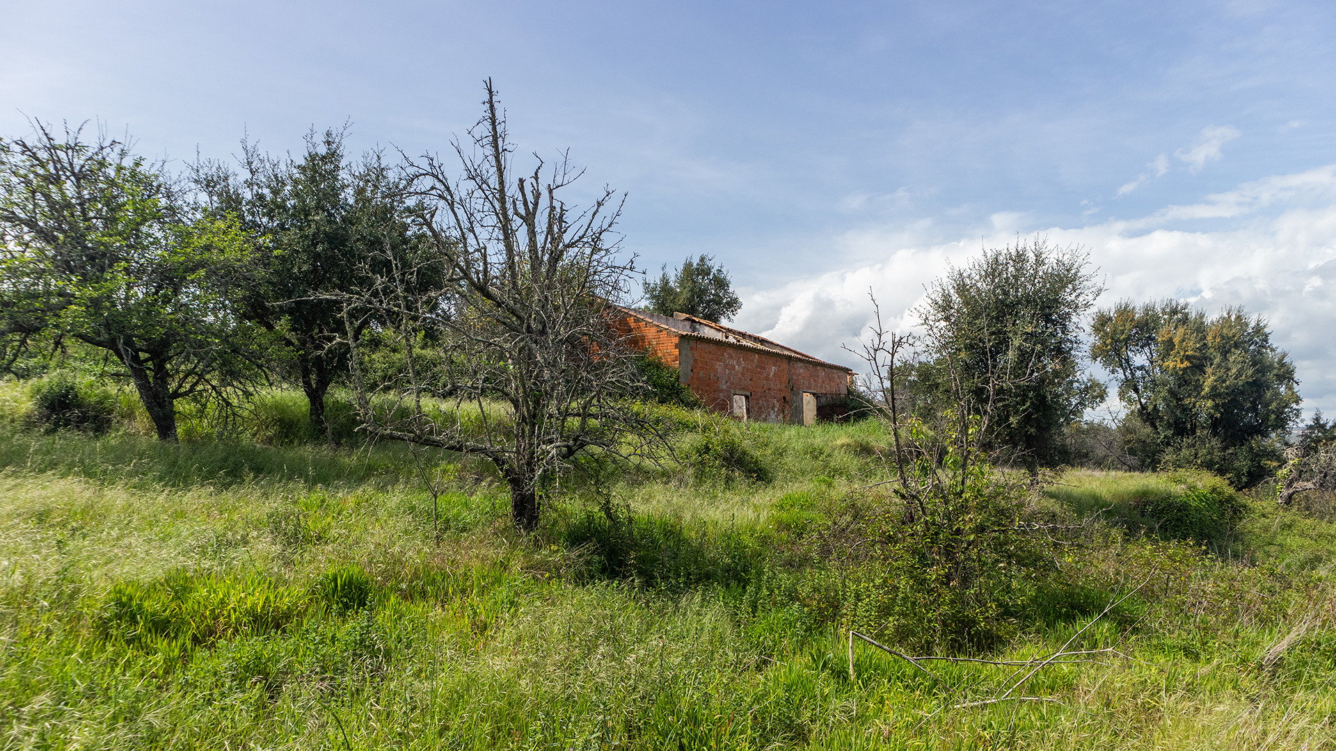 Fabulous country plot with cork trees and two ruins to restore near Monchique | LG1775 This lovely well-located piece of land gives possibilities for rural tourism, guest accommodation or permanent living in scenic surroundings close to the town and with easy access.