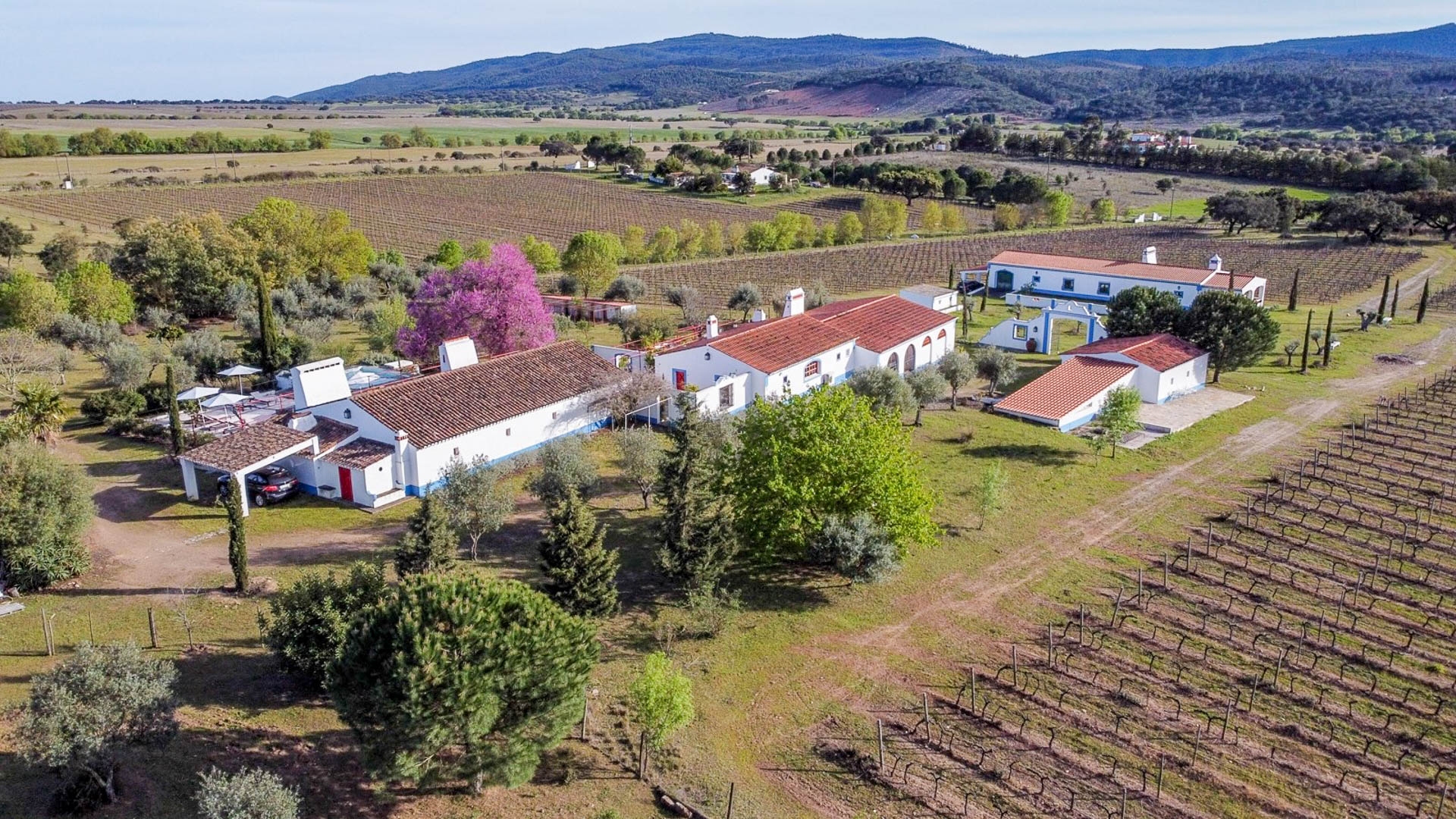 Propriété avec 3 Maisons, Vignoble et Piscine, Estremoz, Évora, Alto Alentejo | PDB1931 