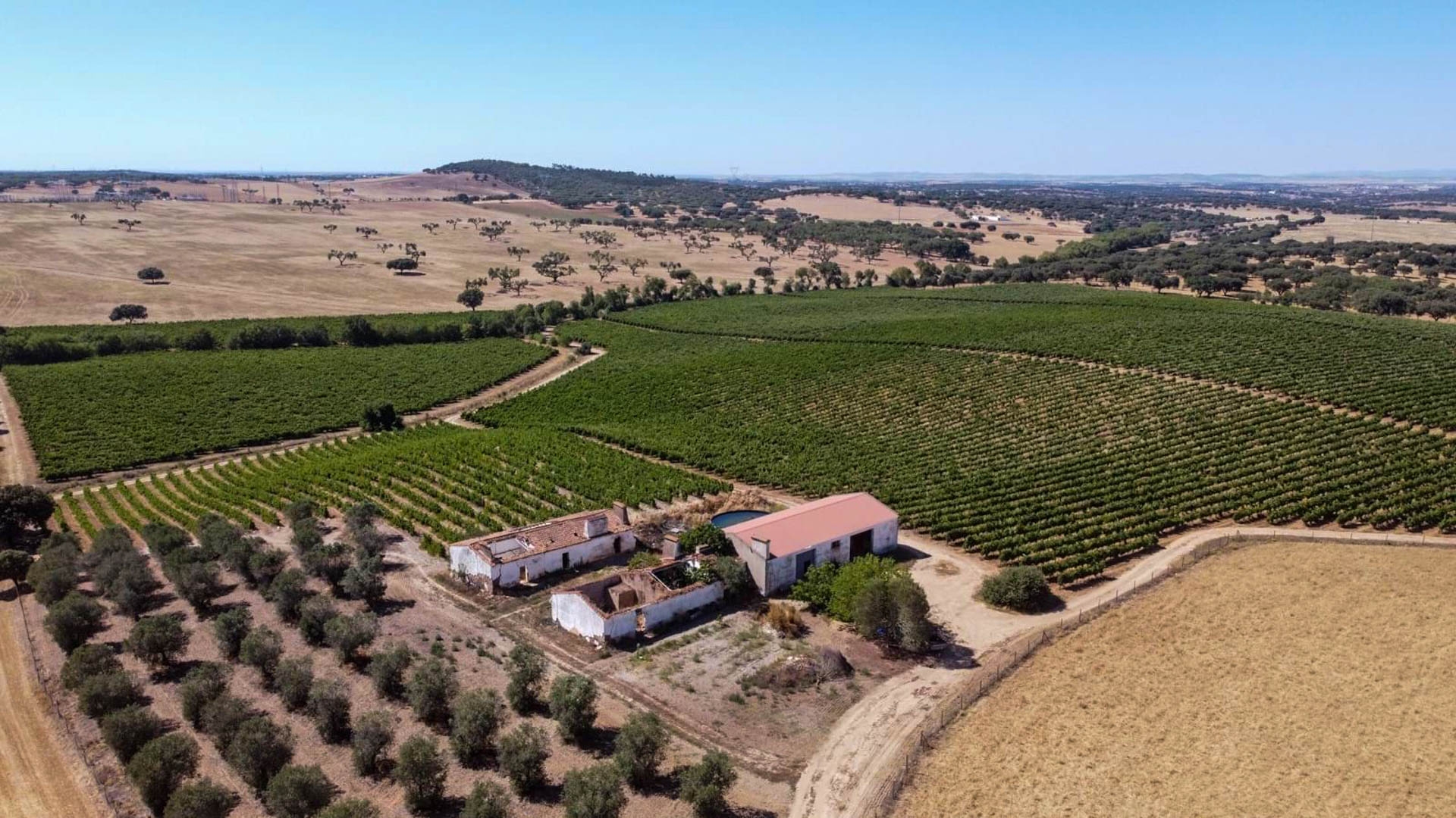 Plot of 20 Hectares with 16 Hectares of Vineyard and Ruins in Estremoz, Alentejo | PDBED004 Great opportunity to buy a huge land with 16 ha active vineyards and olive groves as well as outbuildings and ruins to be rebuilt or used for rural tourism project in an unspoilt nature in the Alentejo.