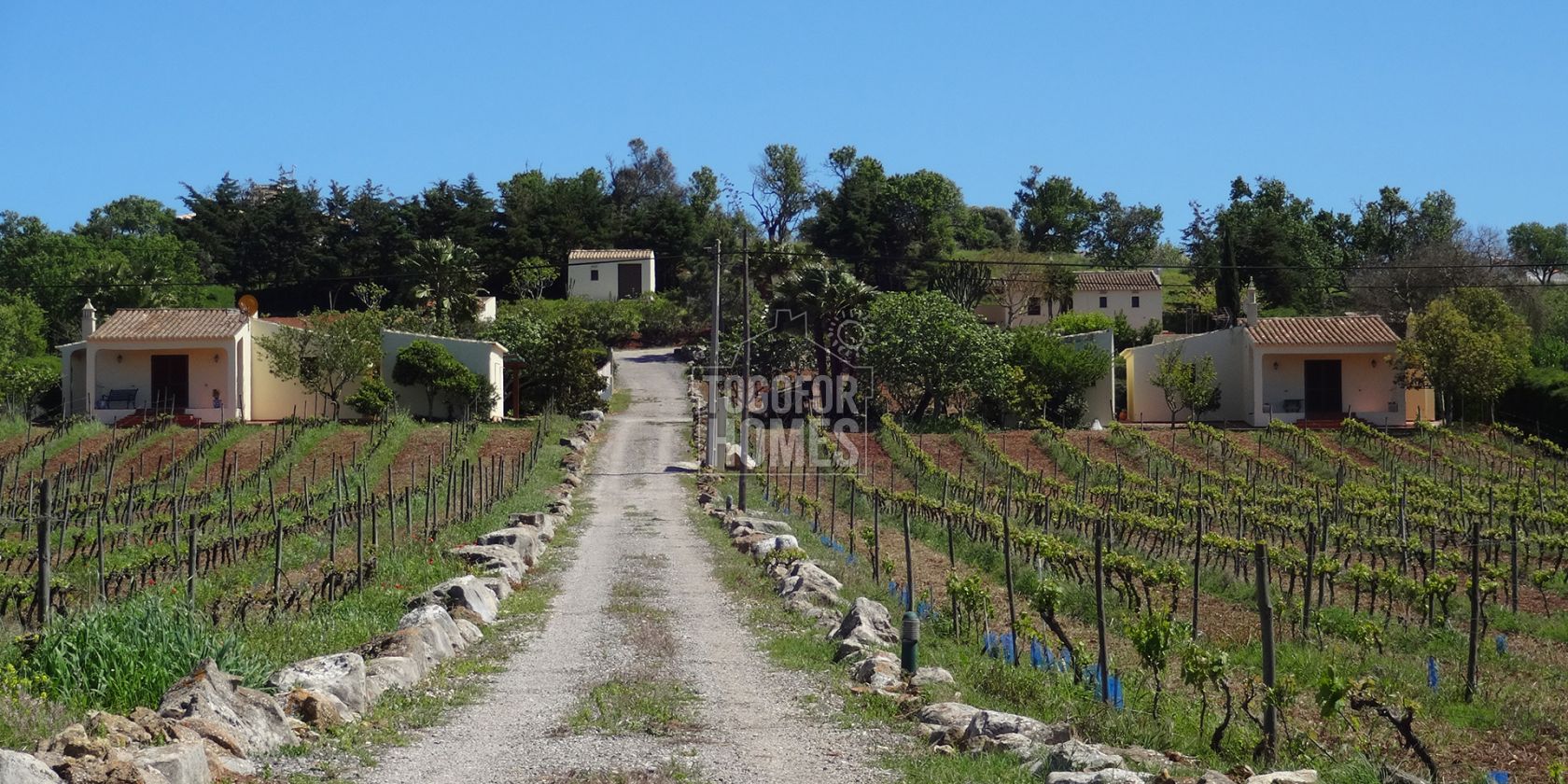 LG1100 -3 chalets avec permis de location, piscine, vignoble commercial et foncier, près d'Espiche, ouest de l'Algarve