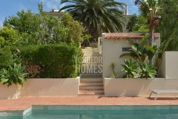 Villa & Pool