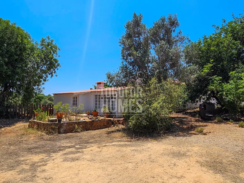 Togofor Homes Real Estate Agency Working with International & National Clients Since 2005