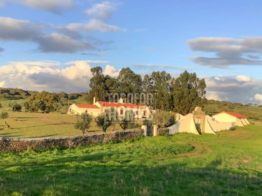 Togofor Homes Real Estate Agency Working with International & National Clients Since 2005