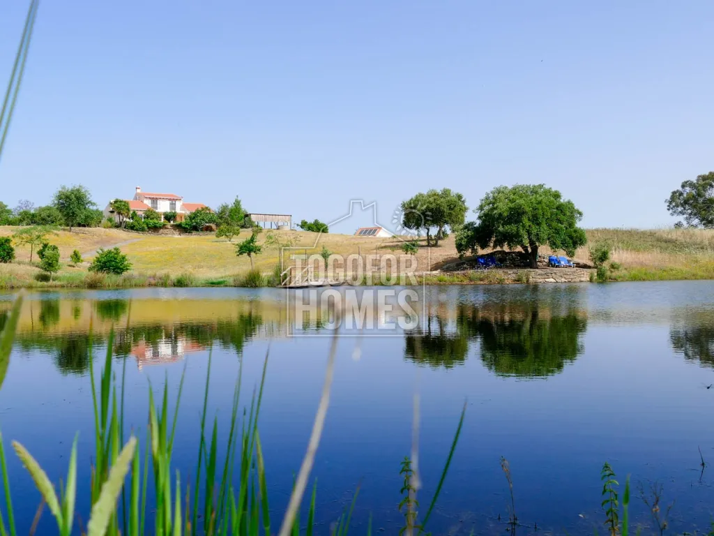 Togofor Homes Real Estate Agency Working with International & National Clients Since 2005