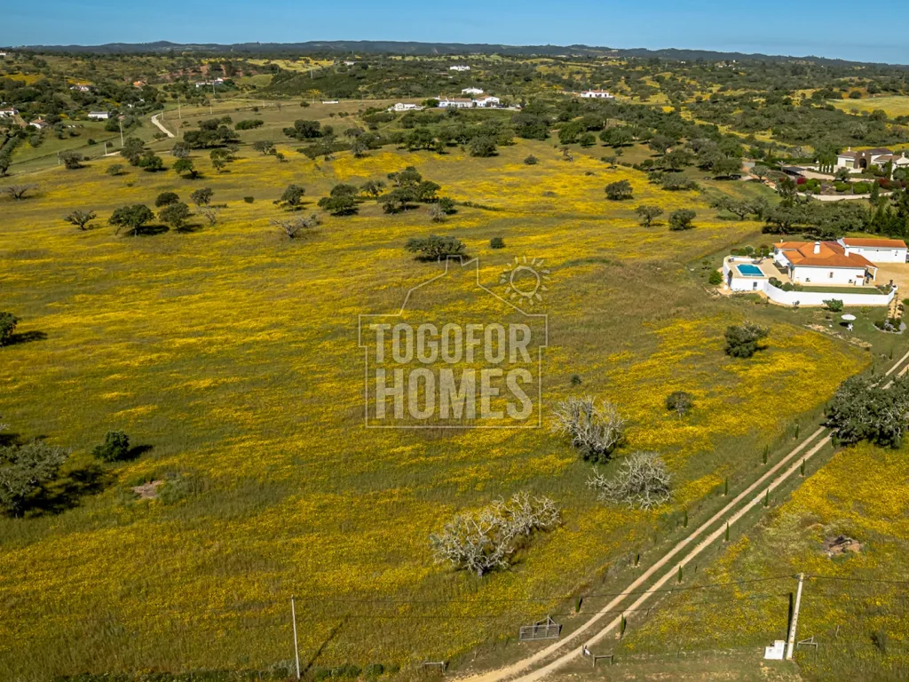 Togofor Homes Real Estate Agency Working with International & National Clients Since 2005