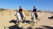Cavalos lusitanos, GNR (Portugal)