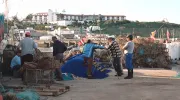 População Algarvia