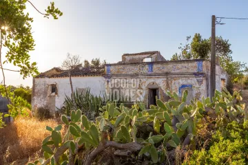 Old Farmhouse