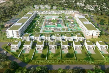 Development