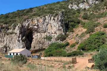 Propriedade