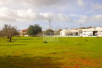 DSC09736