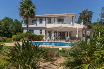 Villa & Pool