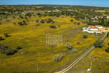 Terreno