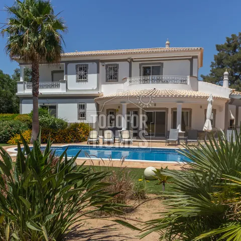 Villa & Pool