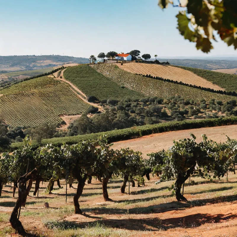 Comment acheter une propriété agricole avec accès à un lac dans le sud de l'Alentejo ?