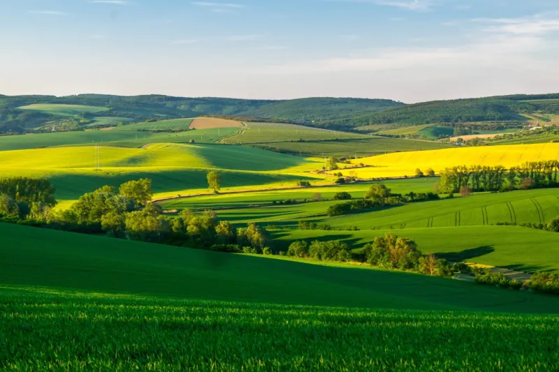 New Land Law